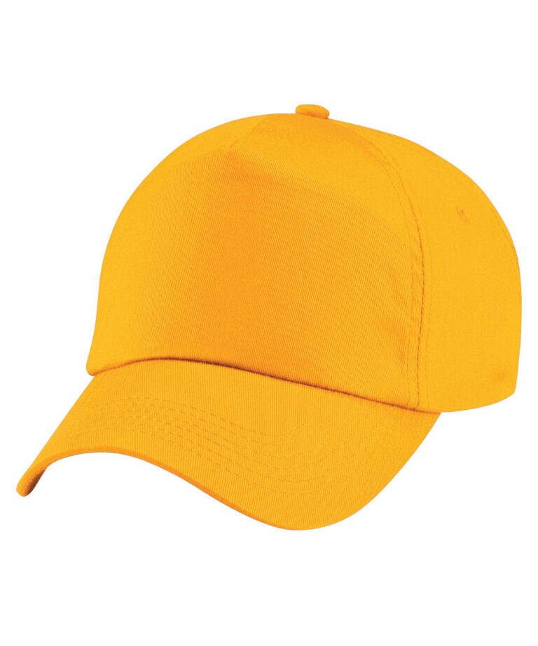 Original 5-panel pet