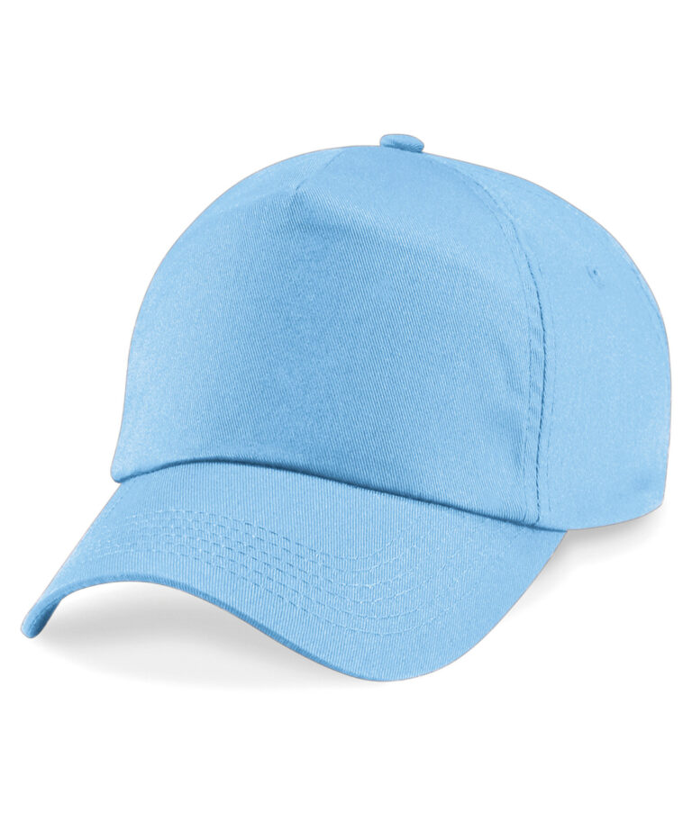 Original 5-panel pet