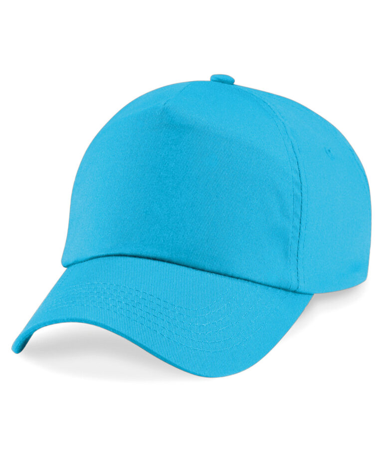Original 5-panel pet