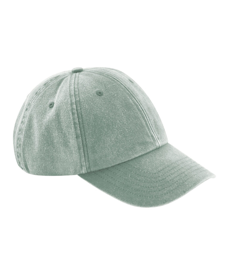 Low-profile vintage pet
