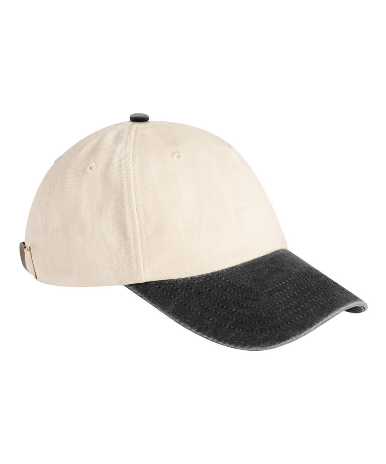 Low-profile vintage pet met contrasterende klep