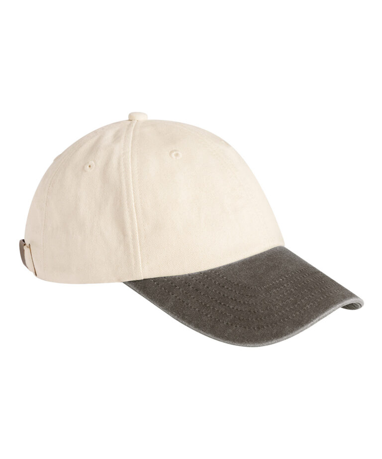 Low-profile vintage pet met contrasterende klep